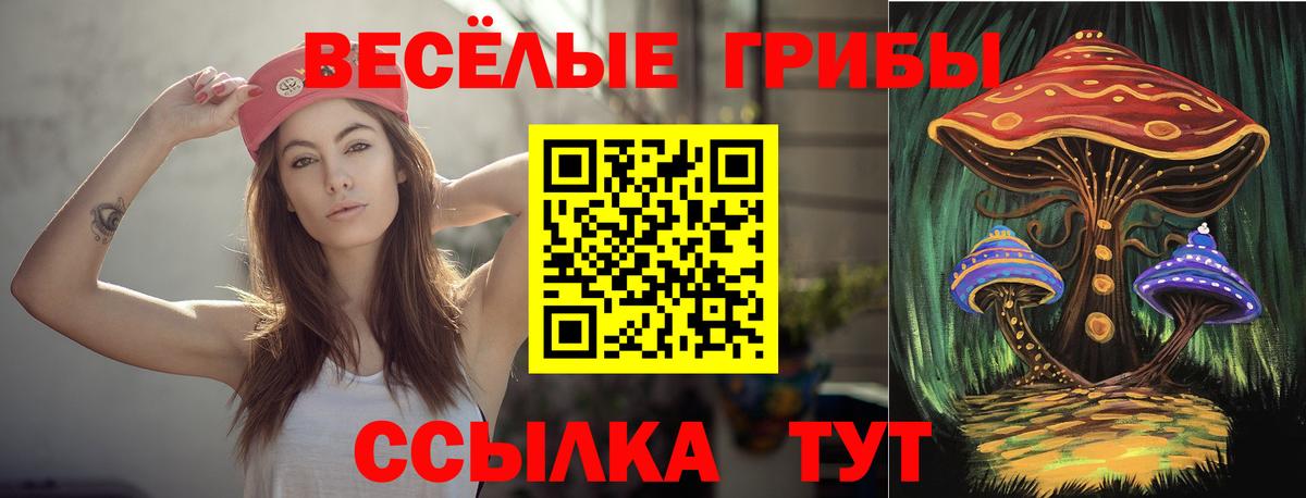 Ярославль  Псилоцибиновые грибы ЛСД  Галлюциногенные грибы GOLDEN TEACHER  купить наркотики сайты  Вход с VPN 
